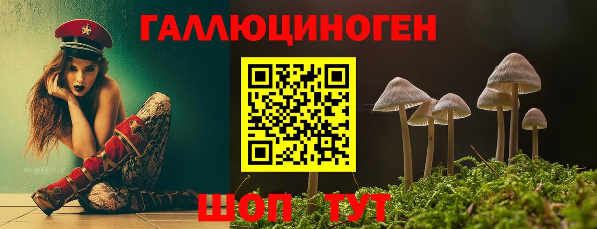 Екатеринбург  как найти   Вход с VPN  Псилоцибиновые грибы мицелий 